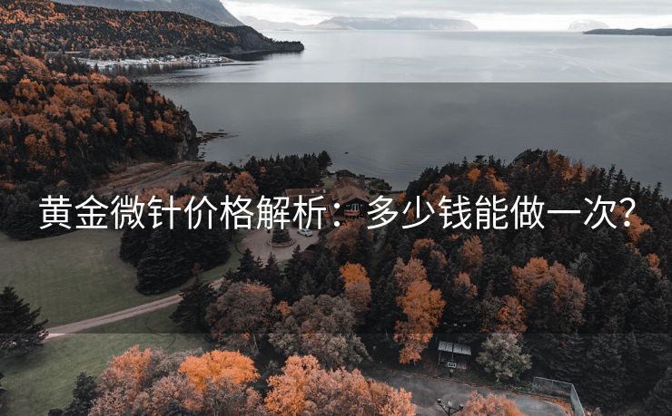 黄金微针价格解析：多少钱能做一次？