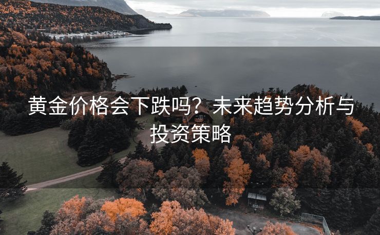 黄金价格会下跌吗？未来趋势分析与投资策略