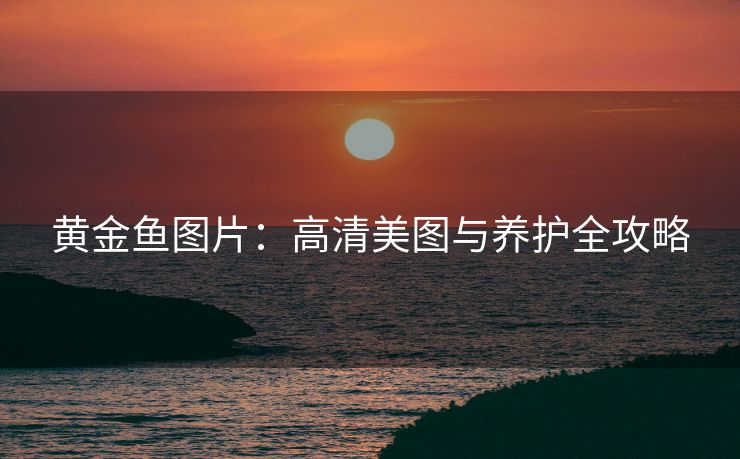 黄金鱼图片：高清美图与养护全攻略