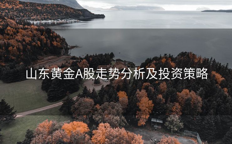 山东黄金A股走势分析及投资策略