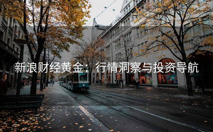 新浪财经黄金：行情洞察与投资导航