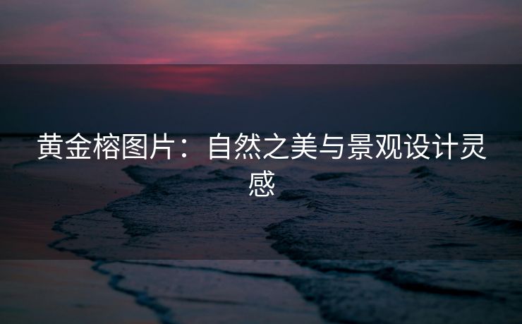 黄金榕图片：自然之美与景观设计灵感