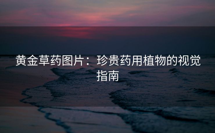 黄金草药图片：珍贵药用植物的视觉指南