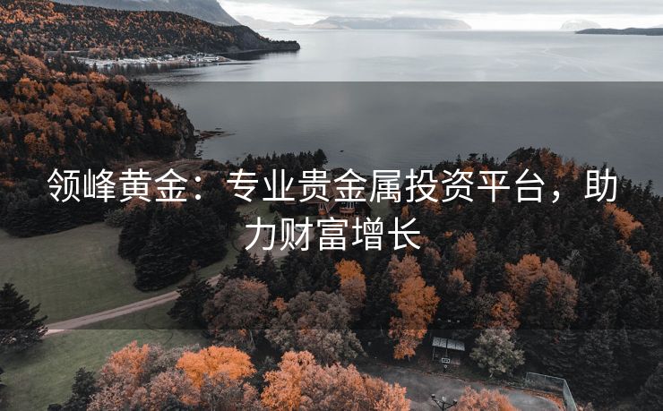 领峰黄金：专业贵金属投资平台，助力财富增长