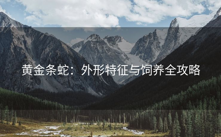 黄金条蛇：外形特征与饲养全攻略