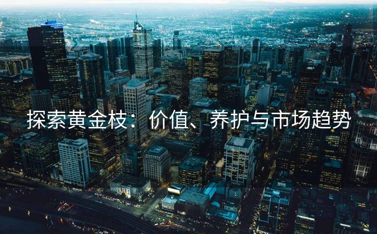 探索黄金枝：价值、养护与市场趋势