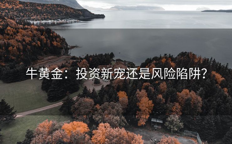 牛黄金：投资新宠还是风险陷阱？